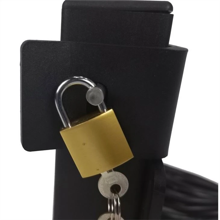 electric lock for gate